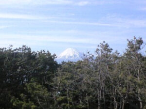田子の浦における山側の眺め