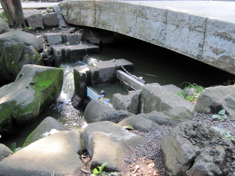 神田川の源流である水門橋