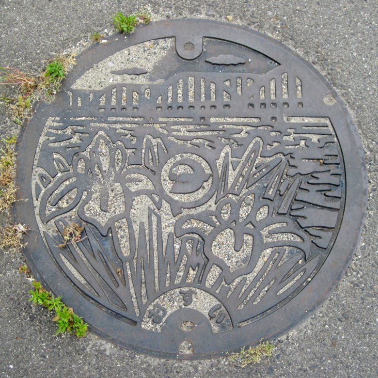 桑名市（カキツバタ）