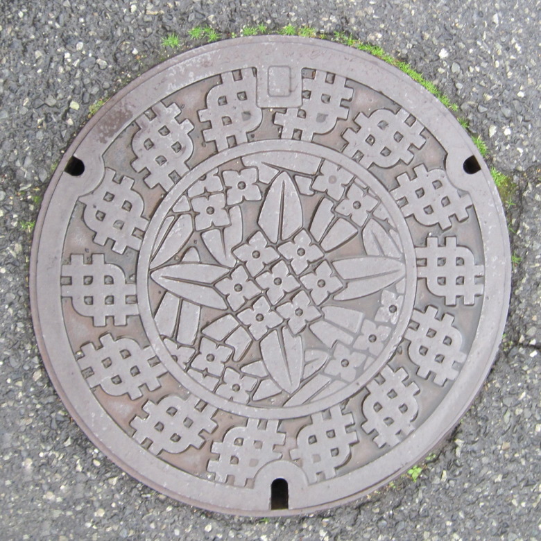 西東京市（無彩色ジンチョウゲ）