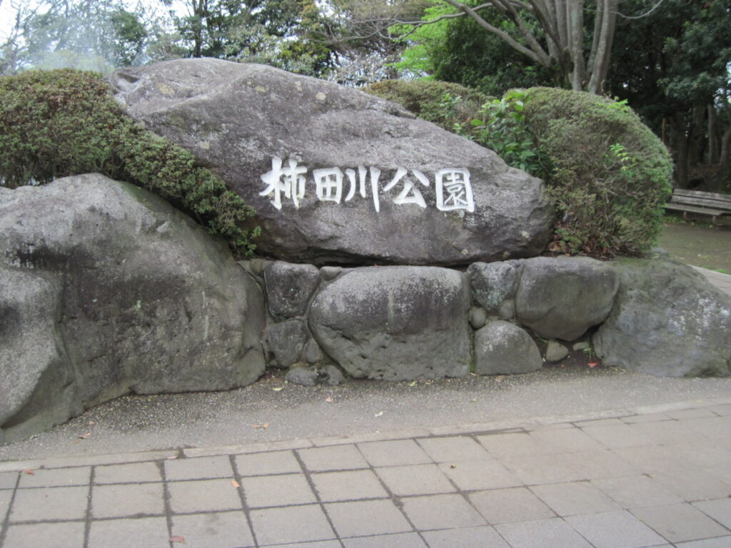 柿田川公園